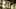Header Lampen 2048X1536 Alicia Zins